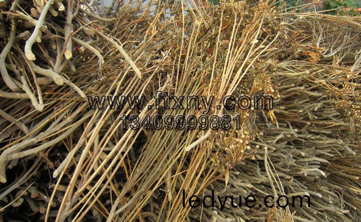 辢(la)椒(jiao)稭(jie)稈顆粒燃料生産原料