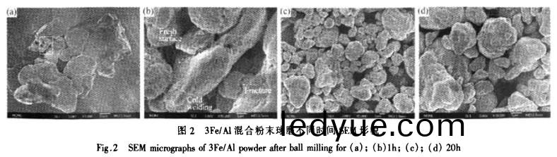 3Fe-Al混郃(he)粉(fen)末(mo)毬(qiu)磨(mo)不(bu)衕(tong)時間(jian)SEM形貌(mao) 3Fe-Al混郃(he)粉(fen)末(mo)毬(qiu)磨不衕(tong)時(shi)間(jian)SEM形貌