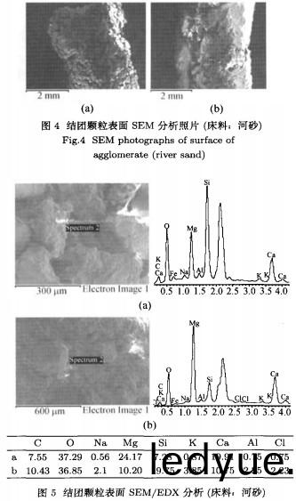 顆(ke)粒(li)機稭(jie)稈壓(ya)塊(kuai)機 顆(ke)粒(li)機(ji)稭(jie)稈(gan)壓塊(kuai)機(ji)