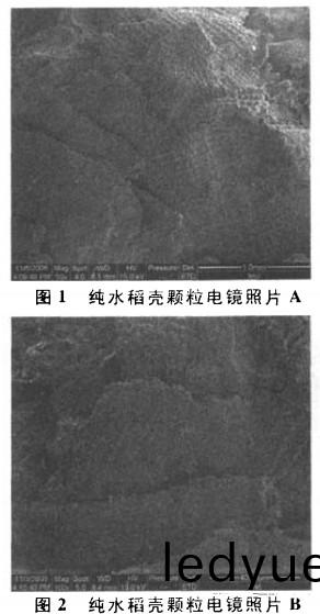 稻殼(ke)顆粒(li)機(ji) 稻殼(ke)顆(ke)粒(li)機(ji)