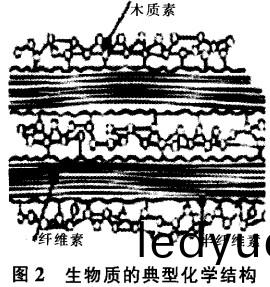 顆粒機(ji)稭稈(gan)壓(ya)塊機(ji) 顆粒(li)機(ji)稭稈(gan)壓(ya)塊機