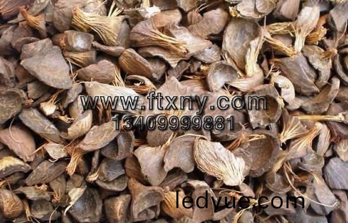 椶(zong)櫚殼生物(wu)質(zhi)顆粒(li)燃(ran)料生産(chan)原(yuan)料(liao)